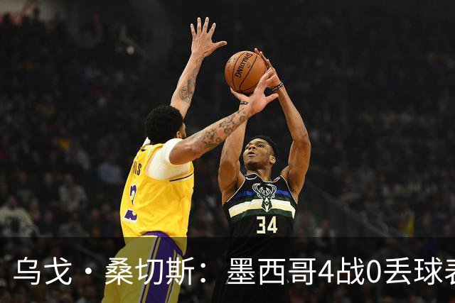 乌戈·桑切斯：墨西哥4战0丢球表现很好 姆巴佩率领的法国是热门