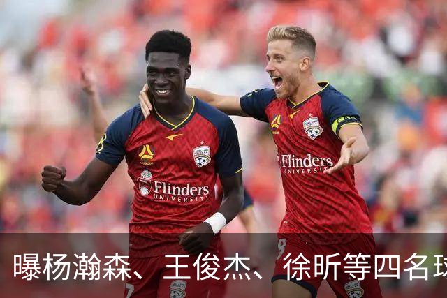 曝杨瀚森、王俊杰、徐昕等四名球员将离队！中国男篮7月13日再次开启集训