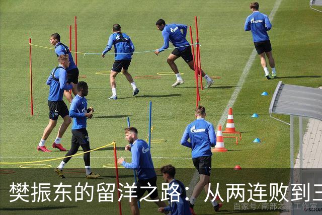 樊振东的留洋之路：从两连败到三冠荣耀，背后的故事你知道吗？