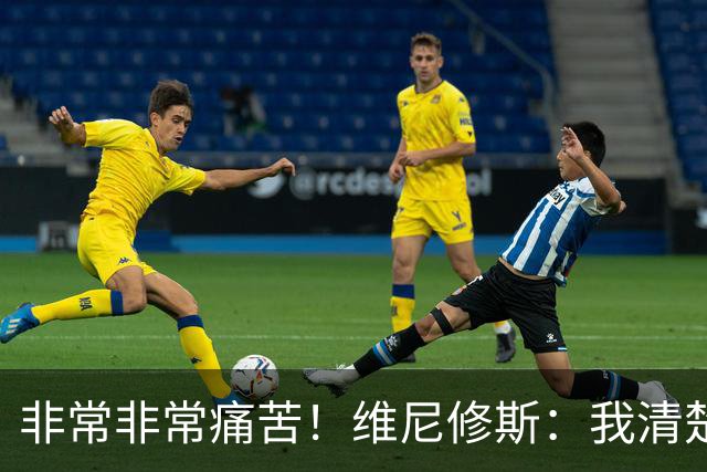非常非常痛苦！维尼修斯：我清楚巴西很多没夺冠了，向球迷们致歉